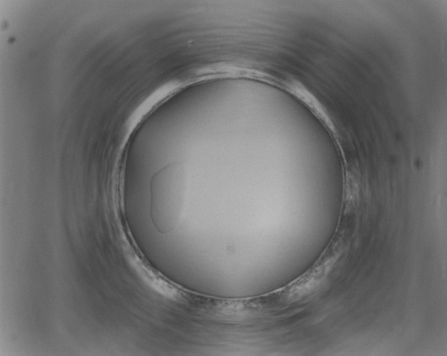 X0000062911098200601181213