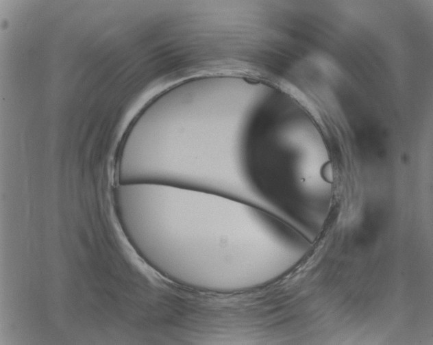 X0000062911099200601181213