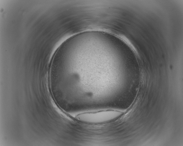 X0000062911100200601181213