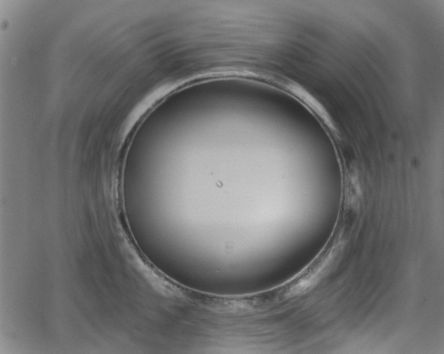 X0000062911101200601181213