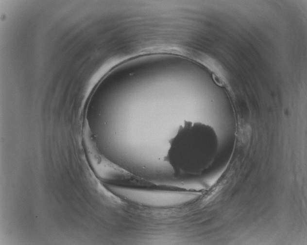 X0000062911102200601181213