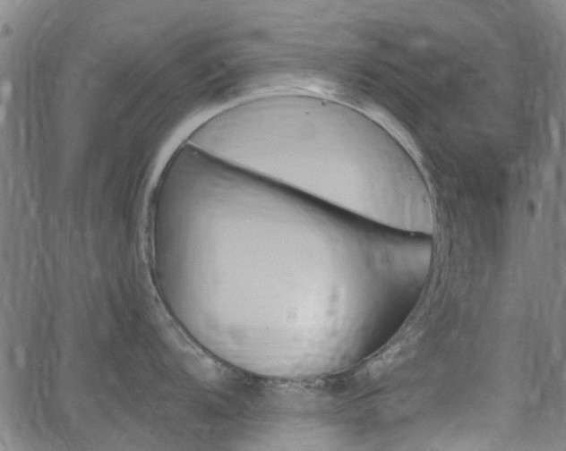 X0000062911104200601181213