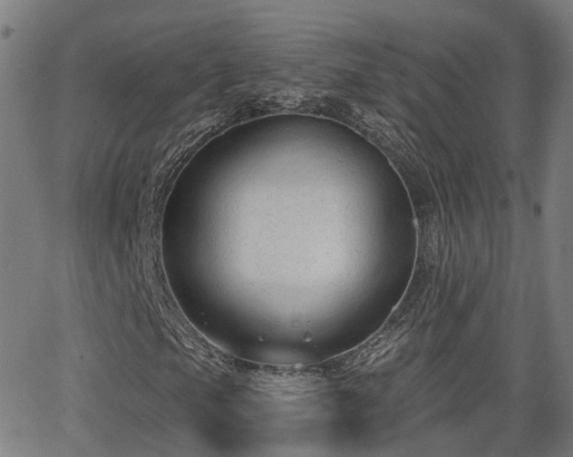 X0000062911105200601181212