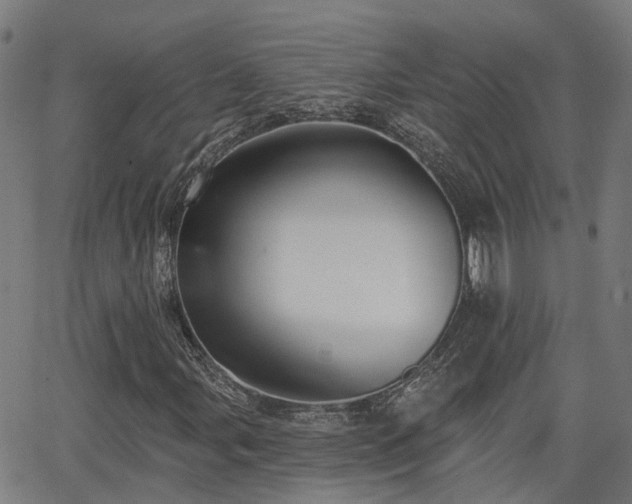 X0000062911107200601181212