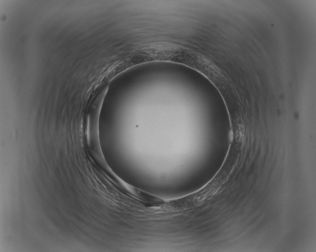 X0000062911108200601181212