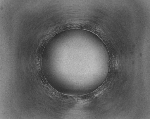 X0000062911109200601181212