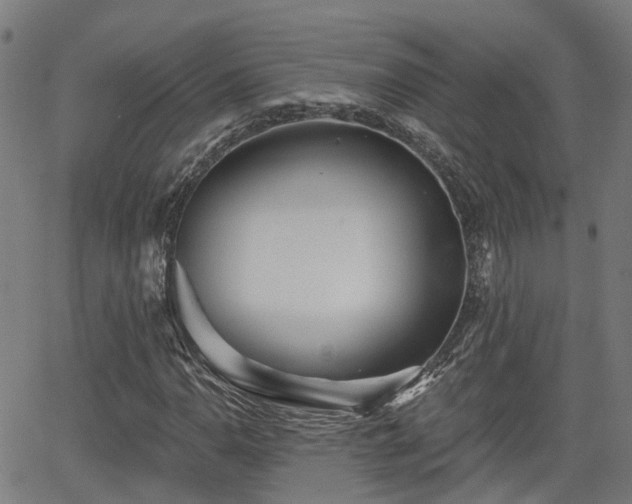 X0000062911110200601181212