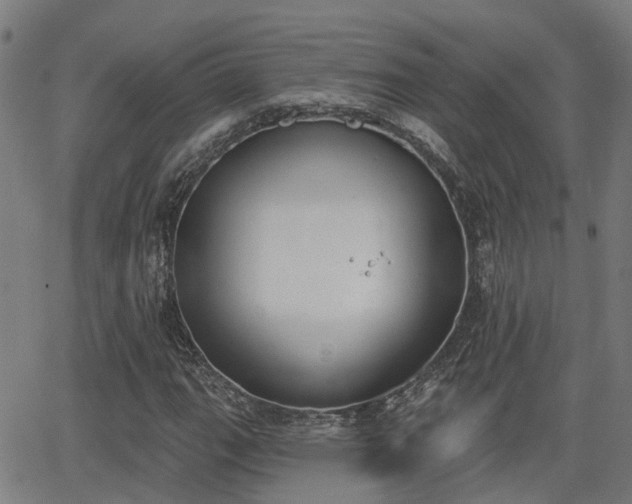 X0000062911111200601181212