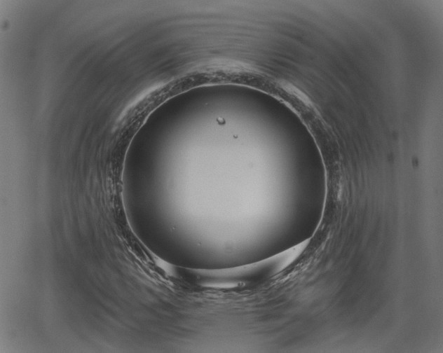 X0000062911112200601181212