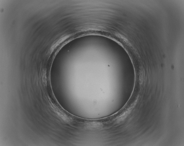 X0000062911113200601181212