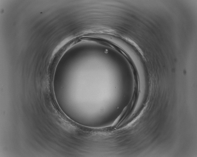 X0000062911114200601181212