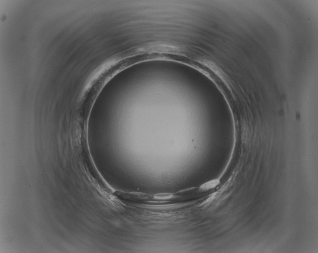 X0000062911115200601181212