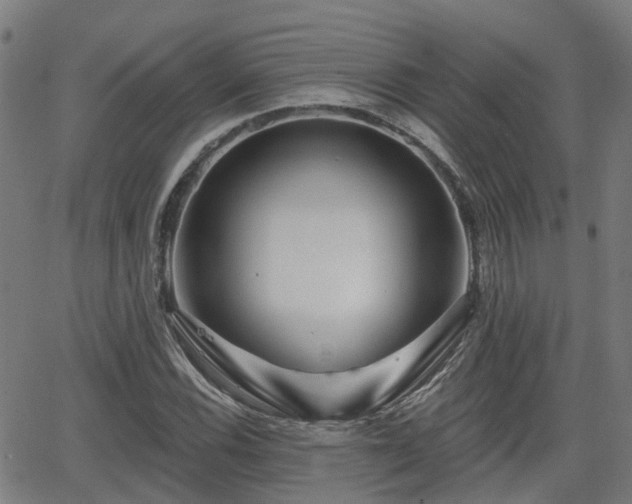 X0000062911116200601181212