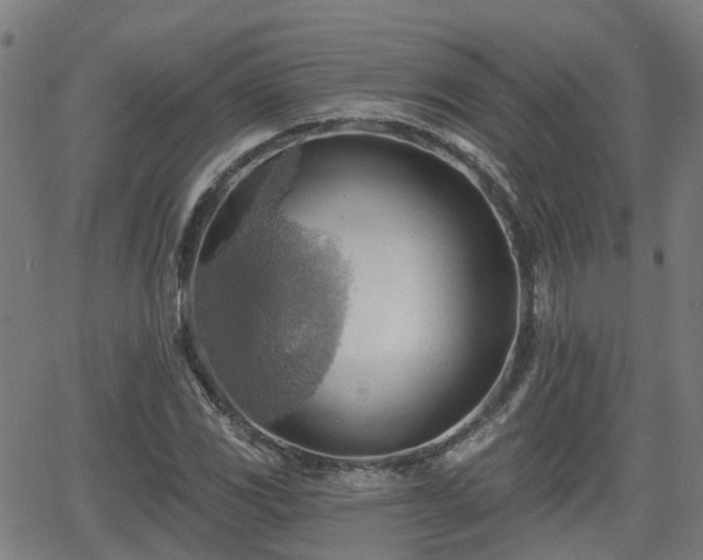 X0000062911117200601181212