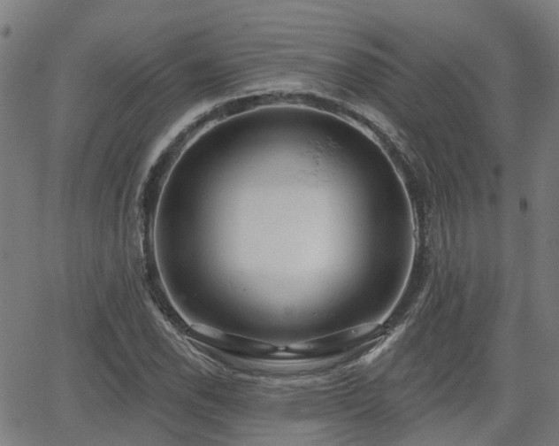 X0000062911118200601181212