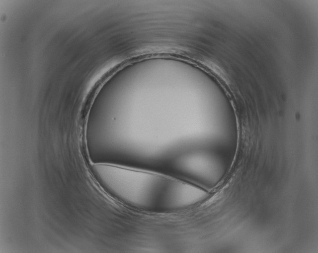 X0000062911119200601181212