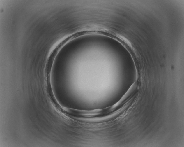 X0000062911120200601181212