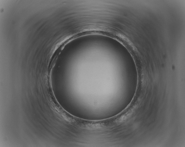 X0000062911121200601181212