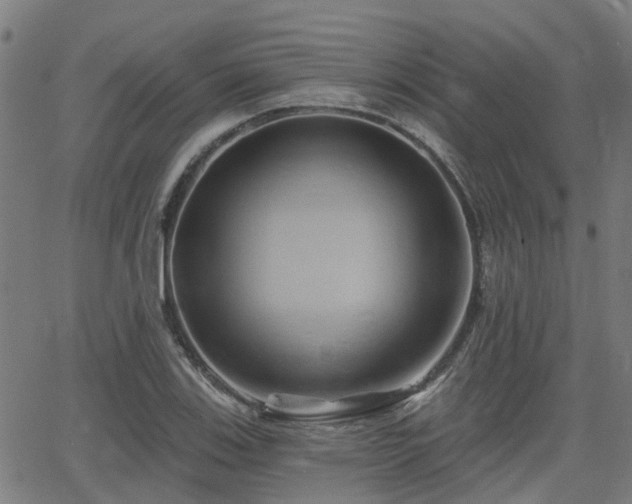 X0000062911123200601181212