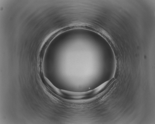 X0000062911124200601181212