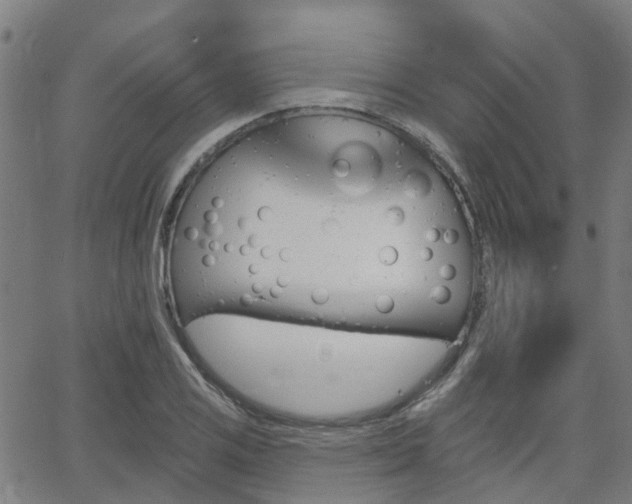 X0000062911125200601181212