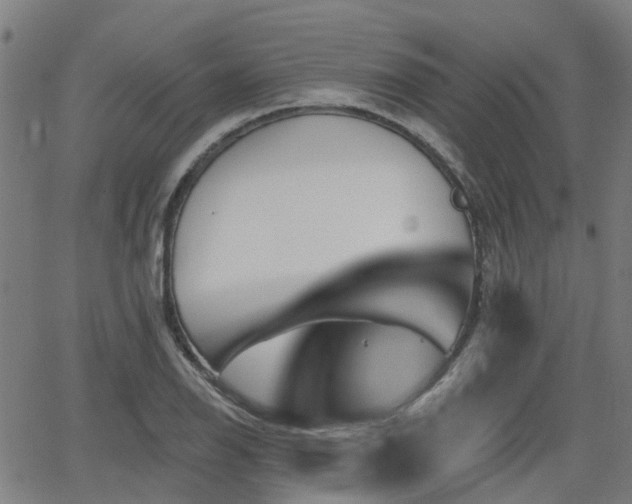 X0000062911126200601181212