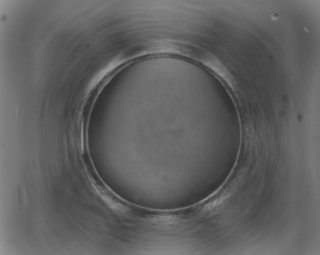 X0000062911127200601181212