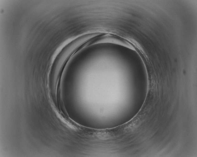 X0000062911128200601181212