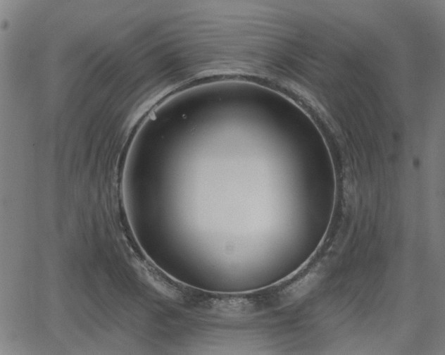 X0000062911129200601181212