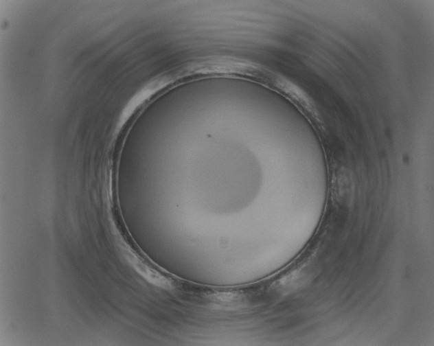 X0000062911130200601181212