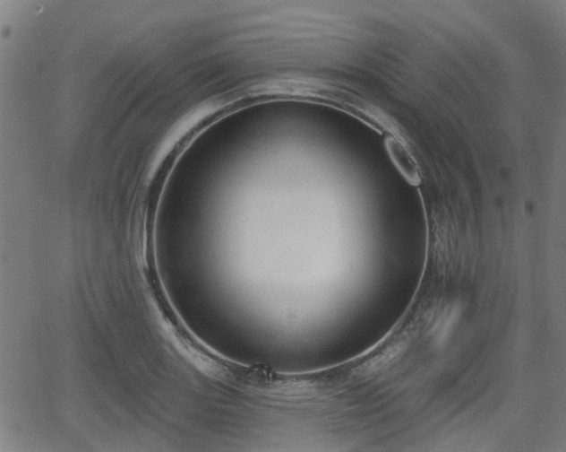 X0000062911131200601181212