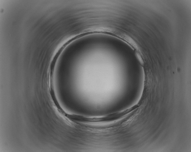 X0000062911132200601181212