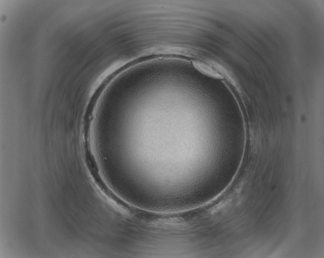 X0000062911133200601181213