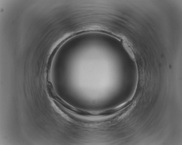 X0000062911134200601181213