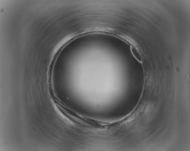 X0000062911135200601181213