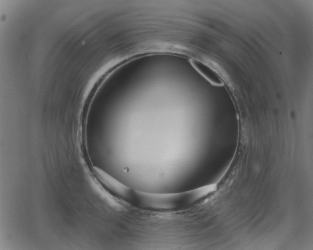 X0000062911136200601181213