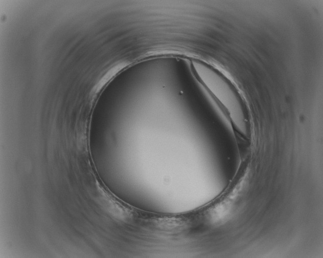 X0000062911137200601181213