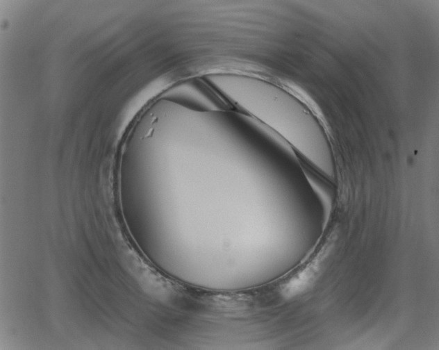 X0000062911138200601181213