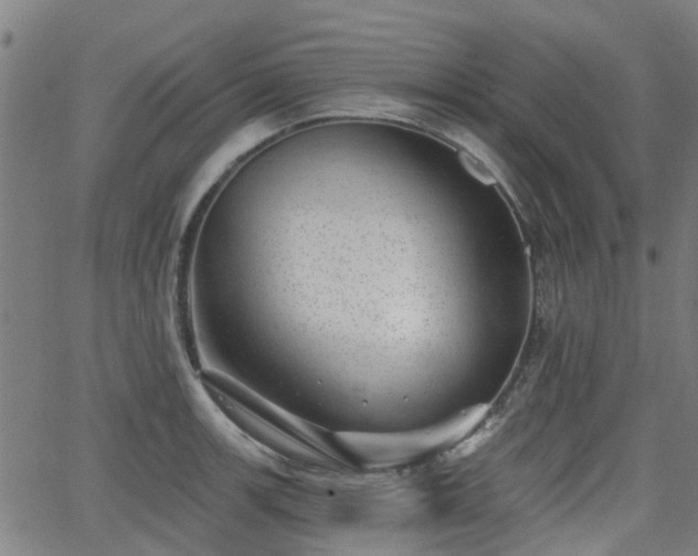 X0000062911139200601181213