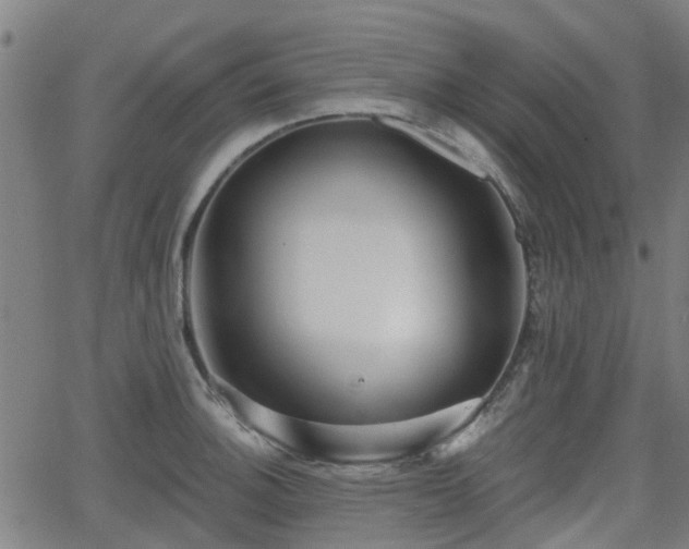 X0000062911140200601181213