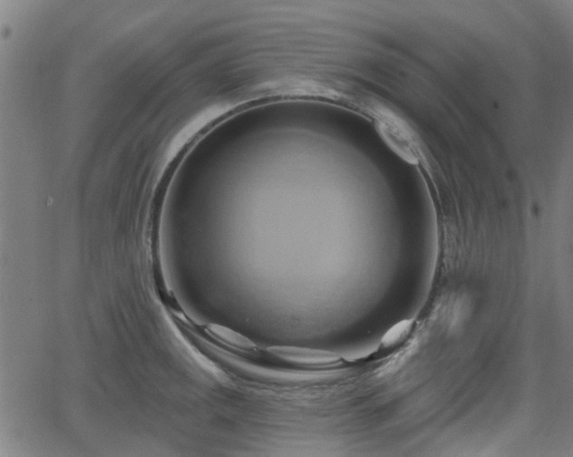 X0000062911141200601181213