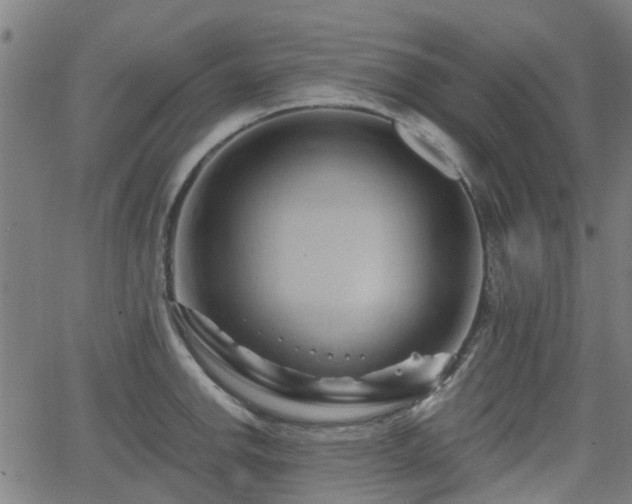 X0000062911142200601181213