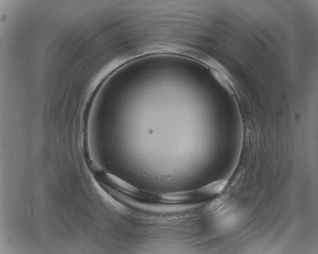 X0000062911143200601181213