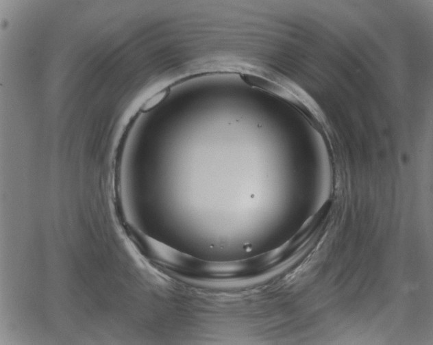 X0000062911144200601181213