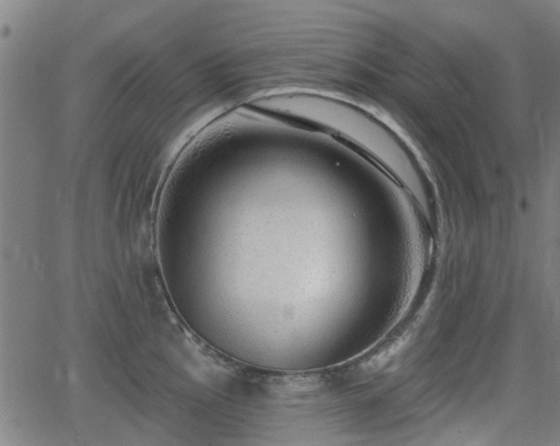 X0000062911145200601181213