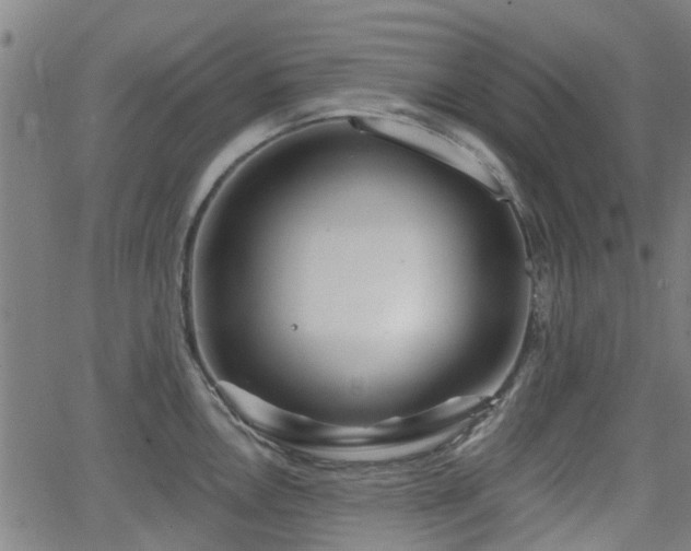 X0000062911146200601181213