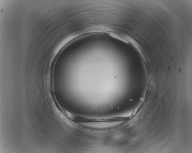 X0000062911147200601181213