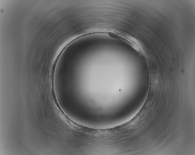 X0000062911148200601181213