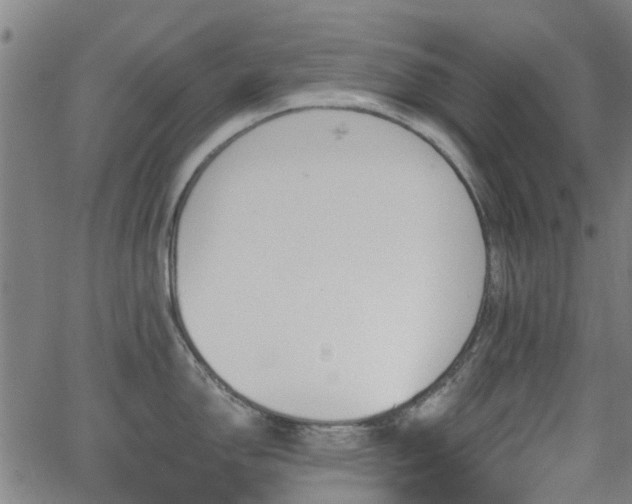 X0000062911150200601181213