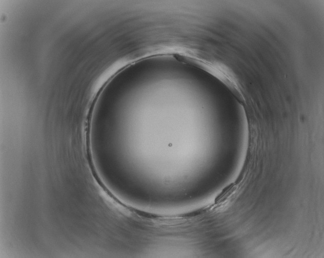 X0000062911151200601181213